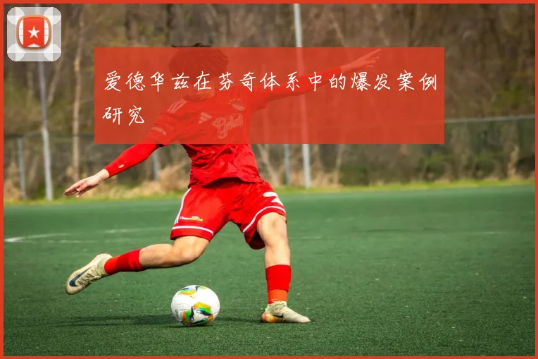 爱德华兹在芬奇体系中的爆发案例研究