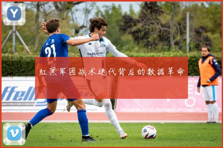红黑军团战术迭代背后的数据革命