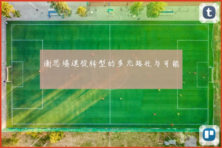 谢思埸退役转型的多元路径与可能