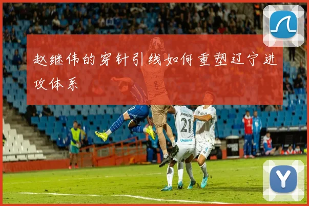 赵继伟的穿针引线如何重塑辽宁进攻体系