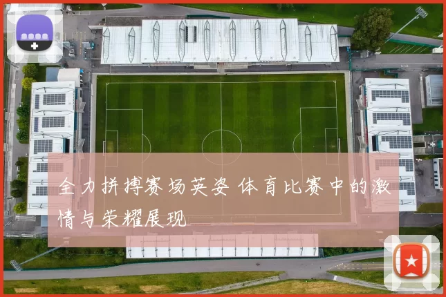 全力拼搏赛场英姿 体育比赛中的激情与荣耀展现