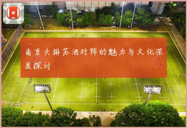 南京头排苏酒对阵的魅力与文化深度探讨